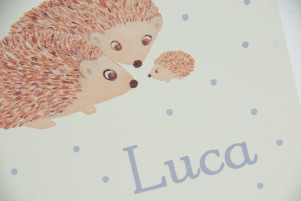 geboortekaartje luca lila